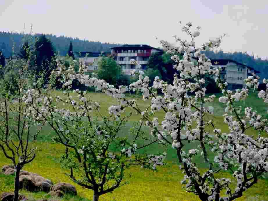 Resorthotel Park-Hill Lossburg Exterior photo